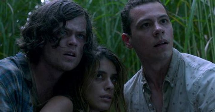 'In the Tall Grass' Ending Explained: The Stephen King Story's Creepy Conclusion (SPOILERS)