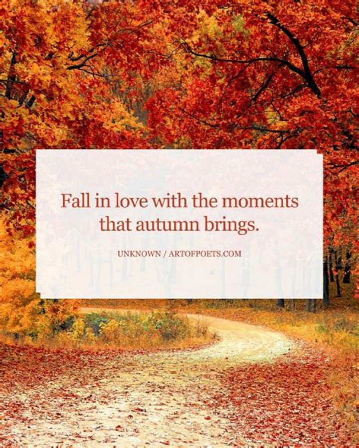 52 Autumn Instagram Captions That'll Make Your Followers FALL for You