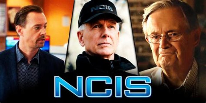 A List of All the Best 'NCIS' Guest Stars in 2020