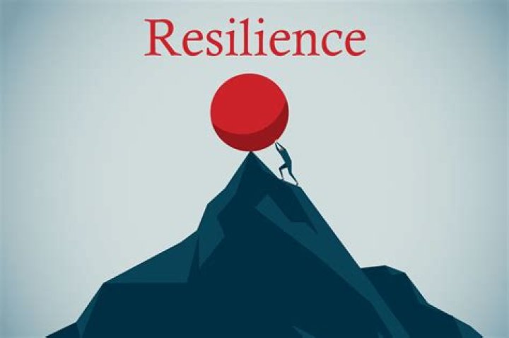A Story Of Success And Resilience