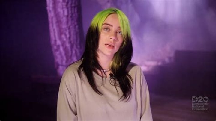 Billie Eilish Ripped in Leaked Trump Administration Doc, 'Destroying Our Country' |