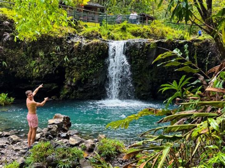Discover The Enchanting World Of Maui Chapman: Unveiling Hawaii's Musical Treasures