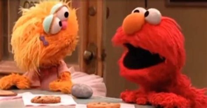 Elmo Explains Why He Was so Fed Up With Rocco in 2004: "Has Anybody Ever Seen a Rock Eat a Cookie?"