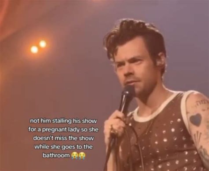 Harry Styles Pauses Concert So Pregnant Fan Can 'Go for a Wee' |