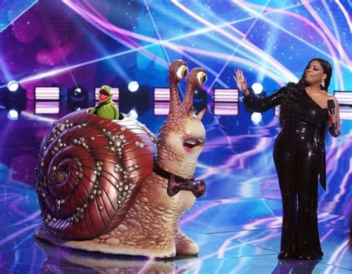 Here Are All of the Celebs Who Have Been Unmasked on The Masked Singer Season 5