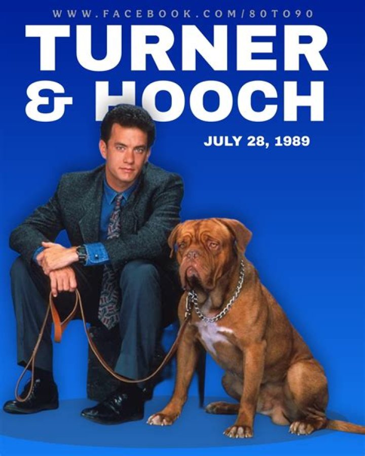 Hooch Is the Same Dog Breed in Both the TV and Film Versions of 'Turner & Hooch'