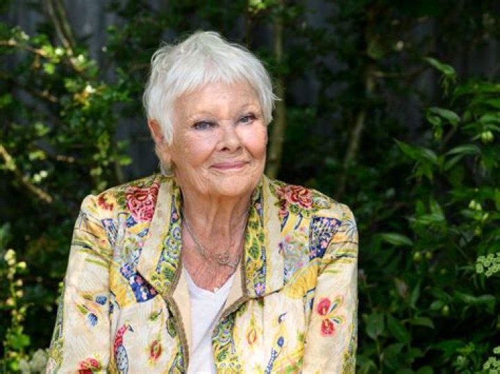 Judi West Net Worth ·