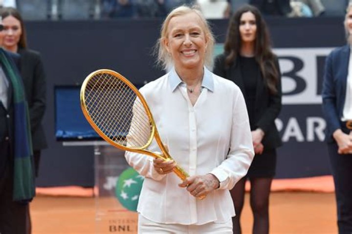 Martina Navratilova's tennis art | Art and design |
