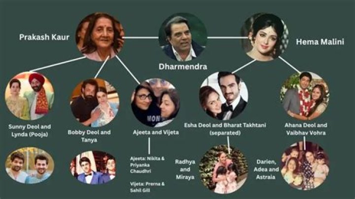 Sunny Deol and Esha Deol relationship