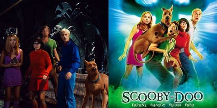 The Cast of the 'Scooby Doo' Movie Then and Now