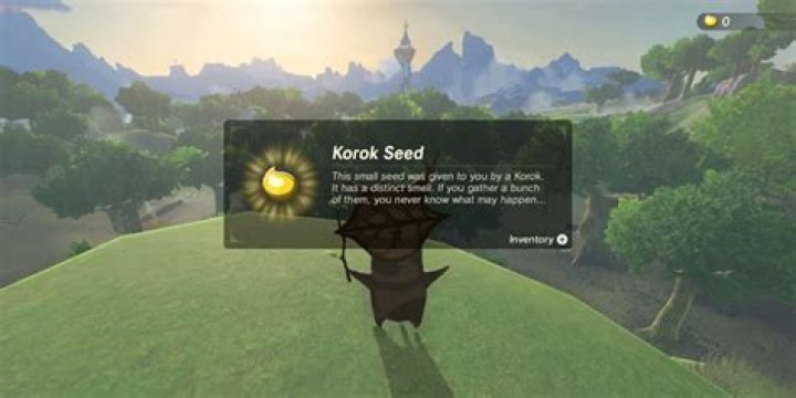 There Are 1,000 Korok Seeds in 'TotK' What Happens When You Find All of Them?