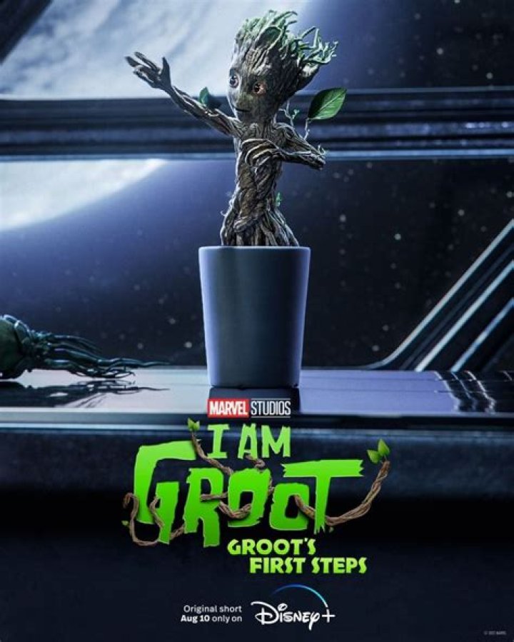 Theres a Version of Groot in the Comics Who Can Say More Than Just I Am Groot'