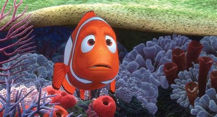 This Disturbing 'Finding Nemo' Theory Is the Darkest Plot Synopsis Ever
