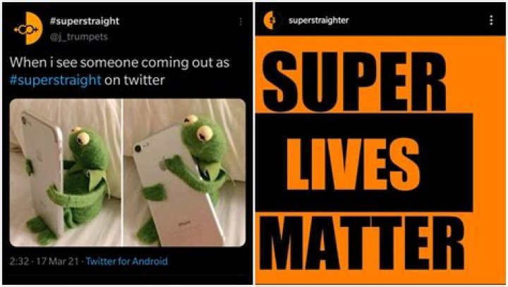 TikTok and Reddit Have Banned the Super Straight Movement From Their Platforms