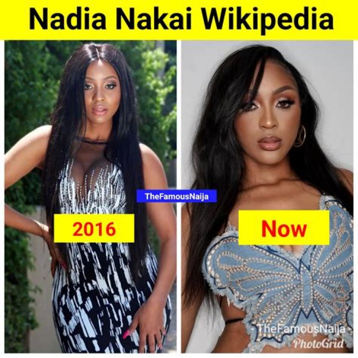 Unveiling Nadia Nakai's Net Worth: Secrets And Success Revealed