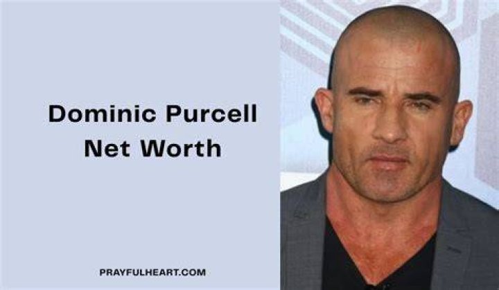Unveiling The Wealth Of Dominic Purcell: A Journey To Millions
