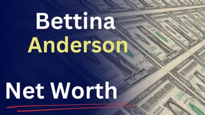 VlogJam | Josina Anderson Net Worth & Salary