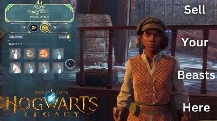 Where to Sell Beasts in 'Hogwarts Legacy'