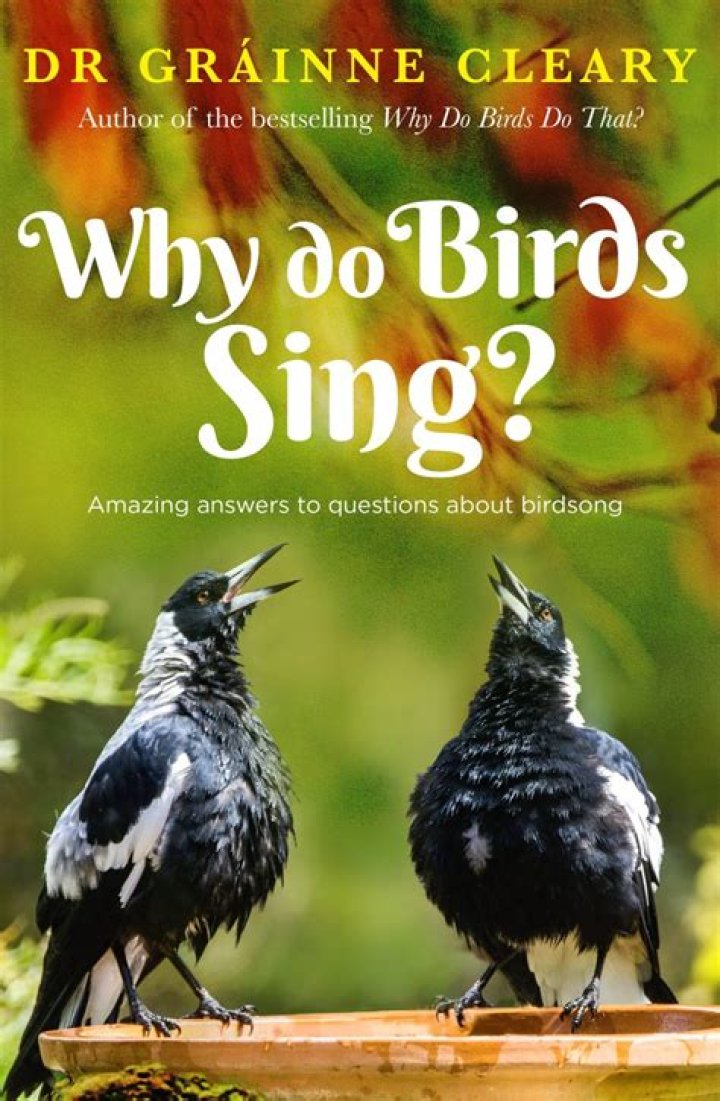 Why Do Birds Sing so Incredibly Loud in the Early Hours of the Morning?